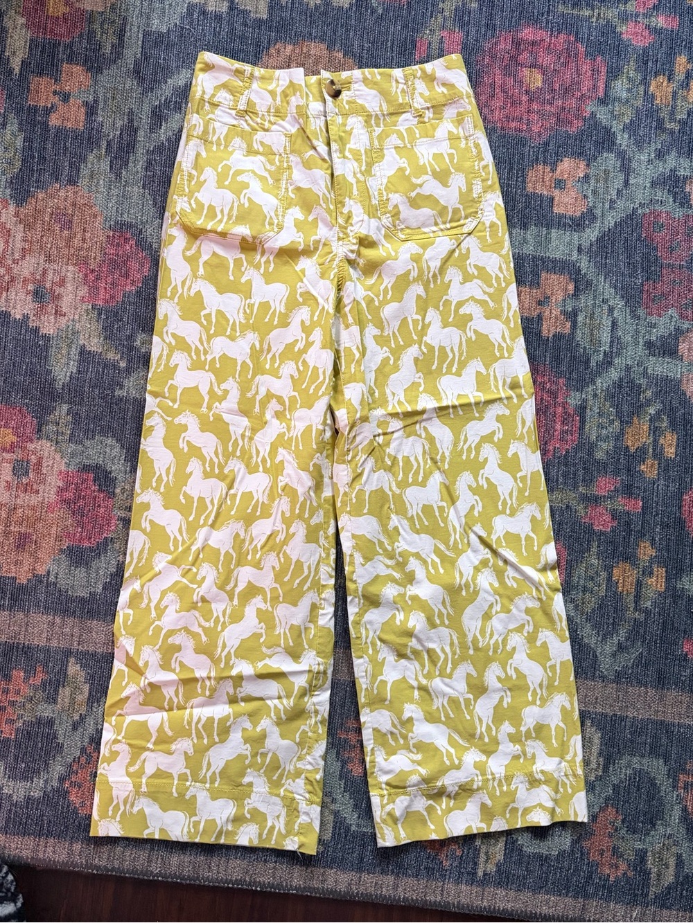 RARE Maeve Anthropologie Horse Pants size 27
